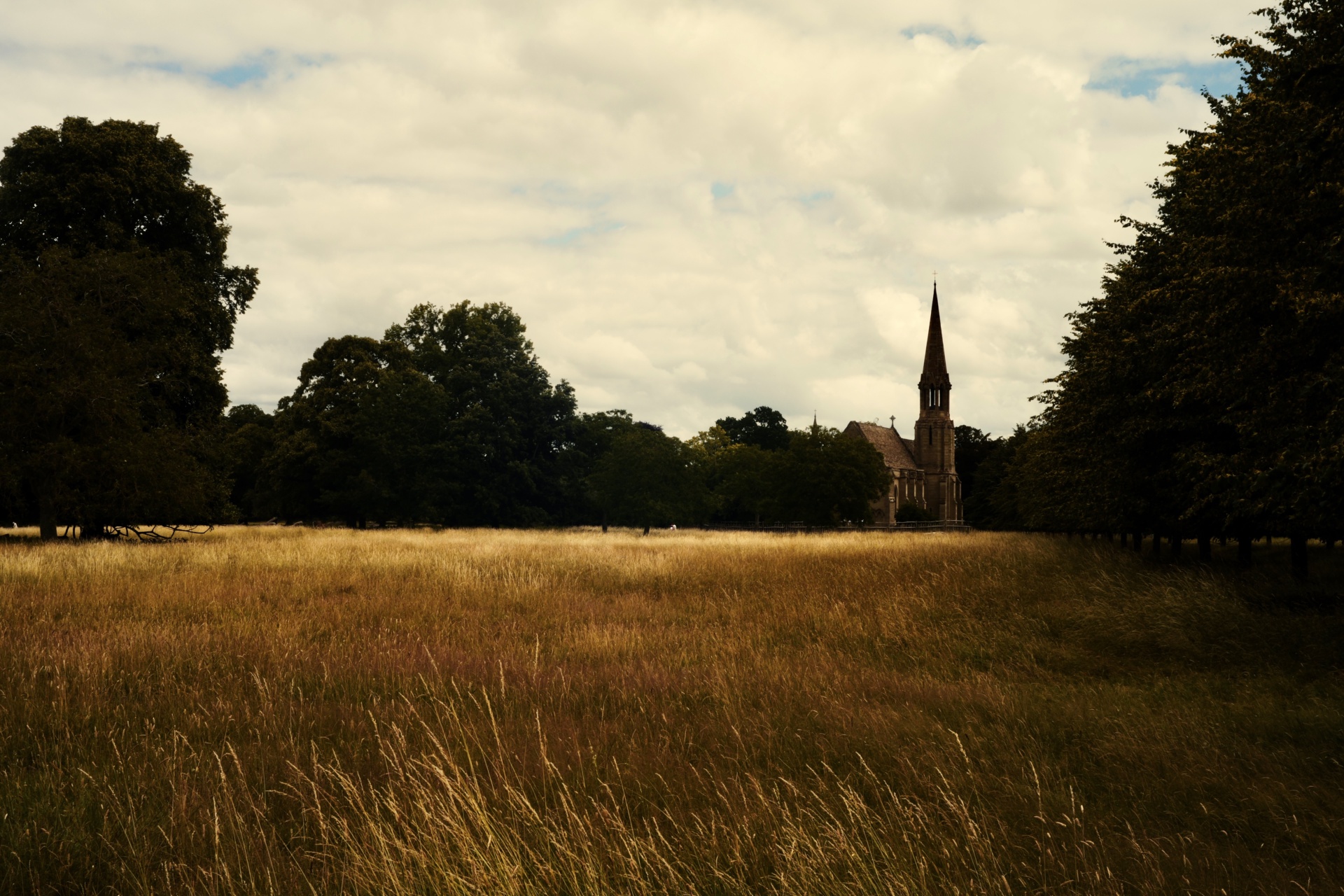 Church in Field
