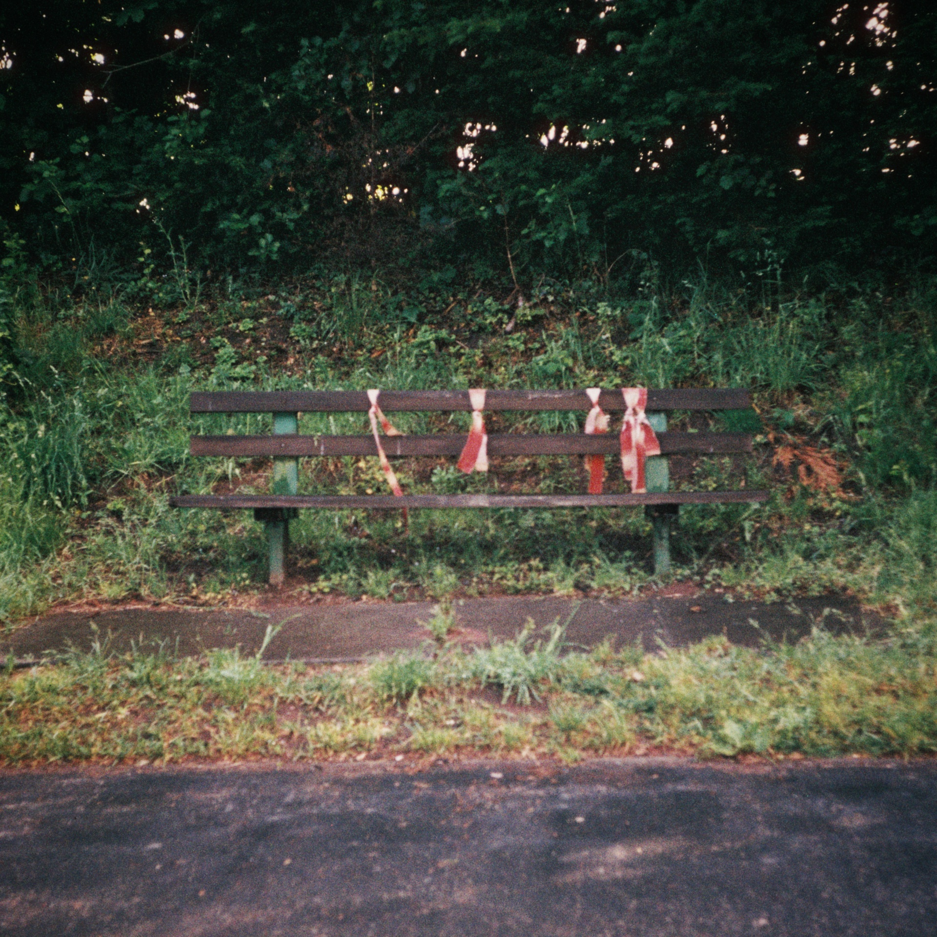 Red Bench